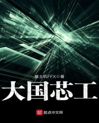 大国芯工章节列表