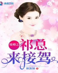 暖婚之祁总来接驾章节列表