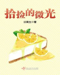 拾捡的微光章节列表