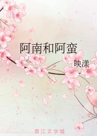 阿南和阿蛮章节列表