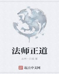 法师正道章节列表
