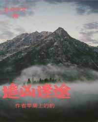 追凶迷途章节列表