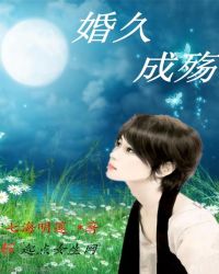 婚久成殇章节列表