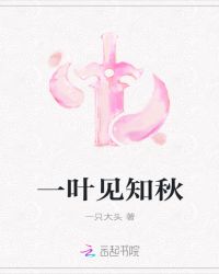 一叶见知秋章节列表