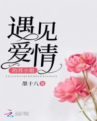 遇见爱情的苏小姐章节列表