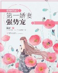 暖婚情深：第一娇妻强势宠章节列表
