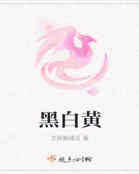黑白黄章节列表