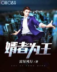 婿者为王章节列表