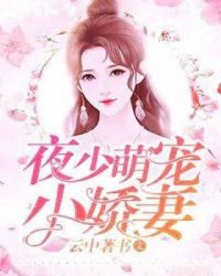 夜少萌宠小娇妻章节列表