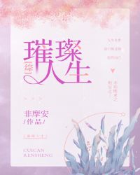 璀璨人生[综]章节列表