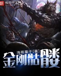 金刚骷髅章节列表