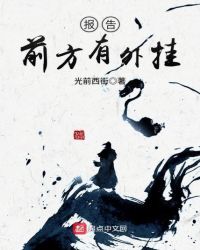 报告，前方有外挂章节列表