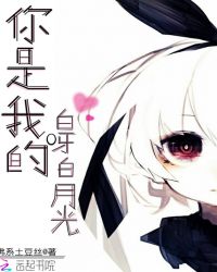 你是我的白呀白月光章节列表