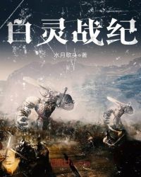 白灵战纪章节列表