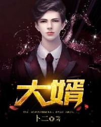 大婿章节列表