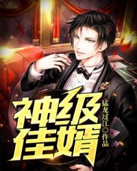 神级佳婿章节列表