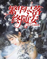 繁华尽落终随安章节列表