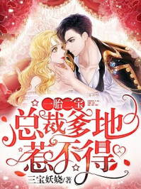 一胎二宝：总裁爹地惹不得章节列表