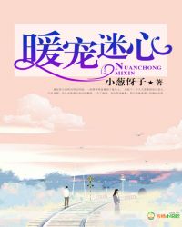暖宠迷心章节列表