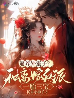 逼养外室子？和离嫁反派一胎三宝章节列表