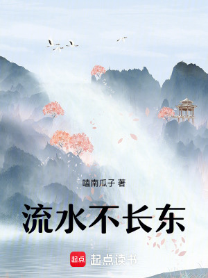 流水不长东章节列表