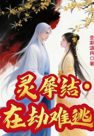 灵犀结之在劫难逃章节列表