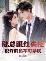 陆总眼红失控，说好的高不可攀呢章节列表