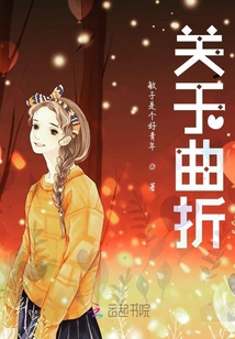 关于曲折章节列表