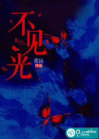 不见光章节列表