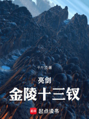 亮剑金陵十三钗章节列表