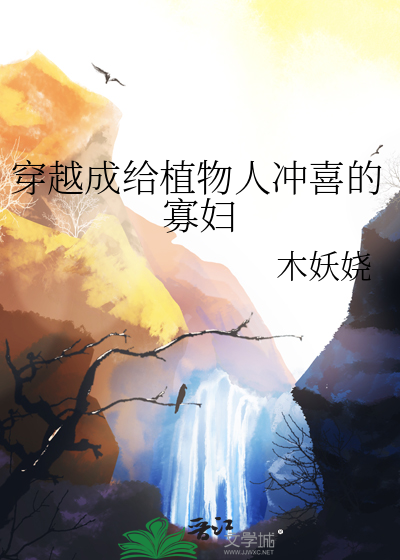 穿成给植物人冲喜的寡妇章节列表