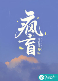 疯盲章节列表
