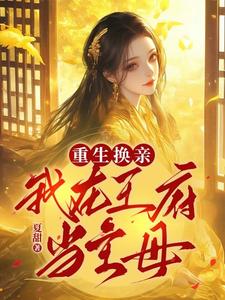 重生换亲：我在王府当主母章节列表