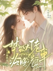 大小姐换亲，禁欲大佬冷脸洗床单章节列表