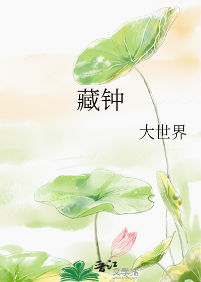 藏钟章节列表