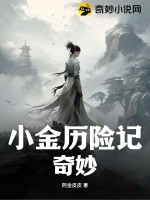 小金历险记奇妙章节列表