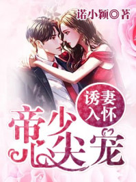 今夜星辰似你章节列表