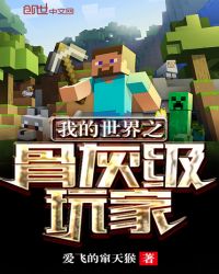 我的世界之骨灰级玩家章节列表