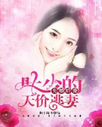 先婚后爱：叶少的天价逃妻章节列表