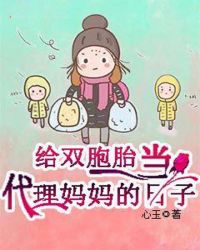 给双胞胎当代理妈妈的日子章节列表