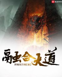 融合大道章节列表