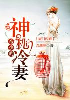 豪门闪婚：帝少的神秘冷妻章节列表