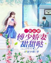 一纸成婚：傅少娇妻甜甜哒章节列表