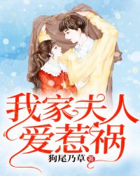 我家夫人爱惹祸章节列表
