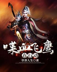 喋血飞鹰在行动章节列表