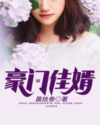 豪门佳婿章节列表