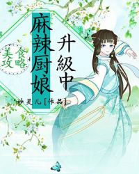 美食攻略：麻辣厨娘升级中章节列表