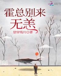 霍总别来无恙章节列表