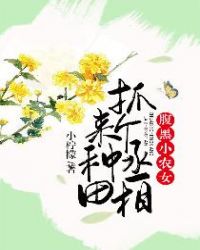 腹黑小农女：抓个丞相来种田章节列表