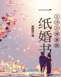一纸婚书之冷少追妻路章节列表